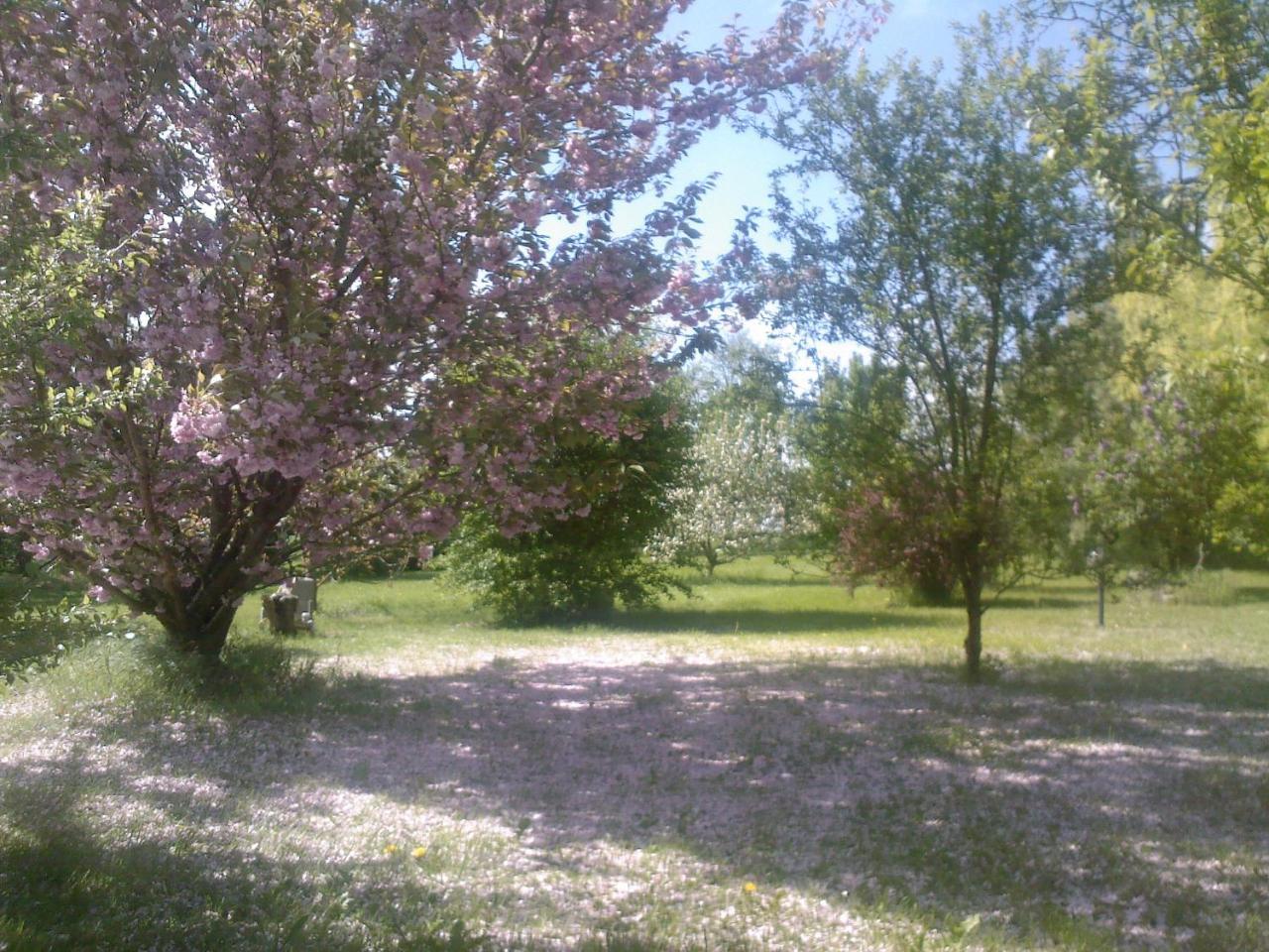Les Reves De Flamboin Bed & Breakfast Gouaix Exterior foto