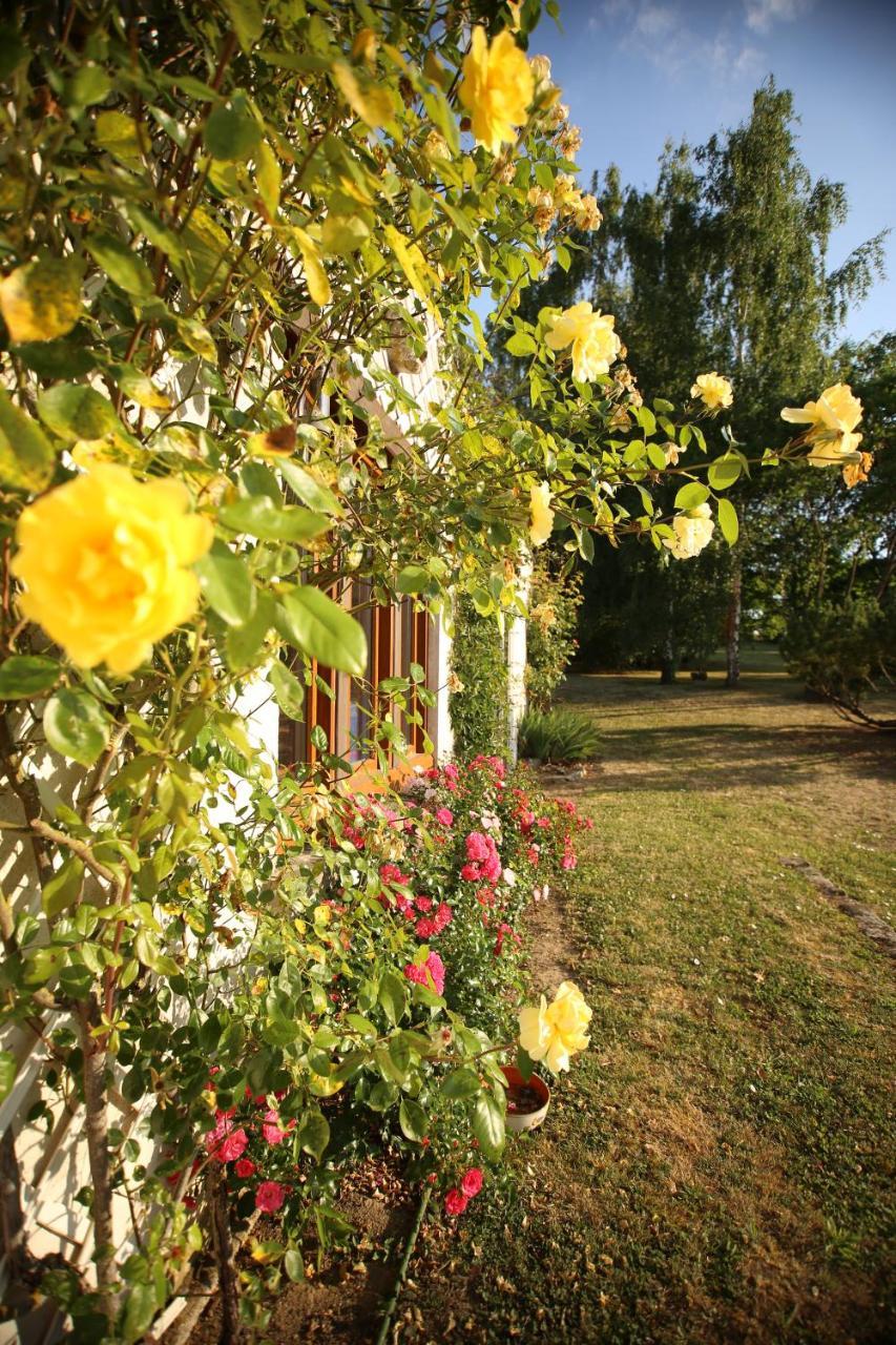 Les Reves De Flamboin Bed & Breakfast Gouaix Exterior foto
